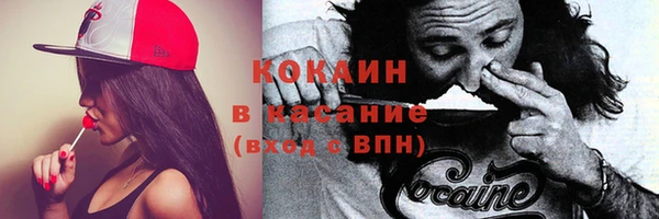дурь Арсеньев