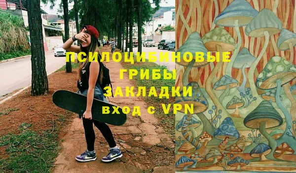 дурь Арсеньев