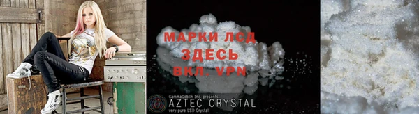 ПСИЛОЦИБИНОВЫЕ ГРИБЫ Аркадак