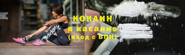 ПСИЛОЦИБИНОВЫЕ ГРИБЫ Аркадак