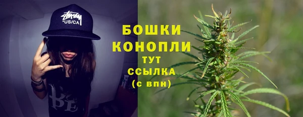 дурь Арсеньев