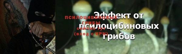 ПСИЛОЦИБИНОВЫЕ ГРИБЫ Аркадак