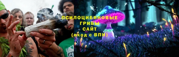 ПСИЛОЦИБИНОВЫЕ ГРИБЫ Аркадак